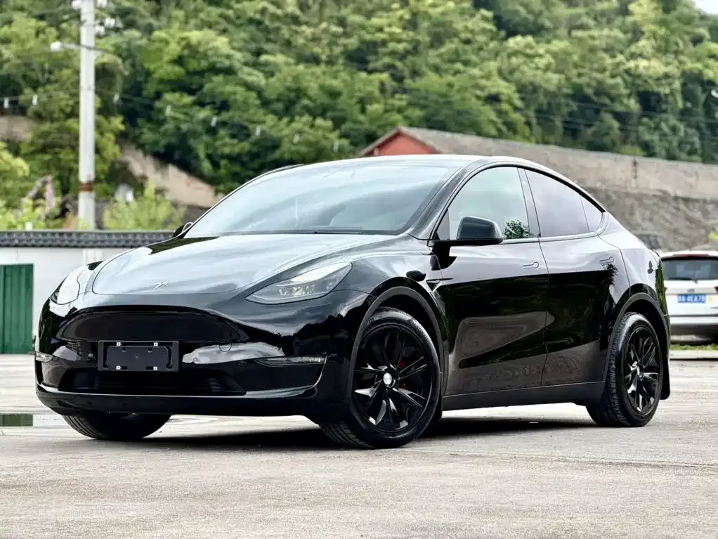 Tesla Model Y — фото 3