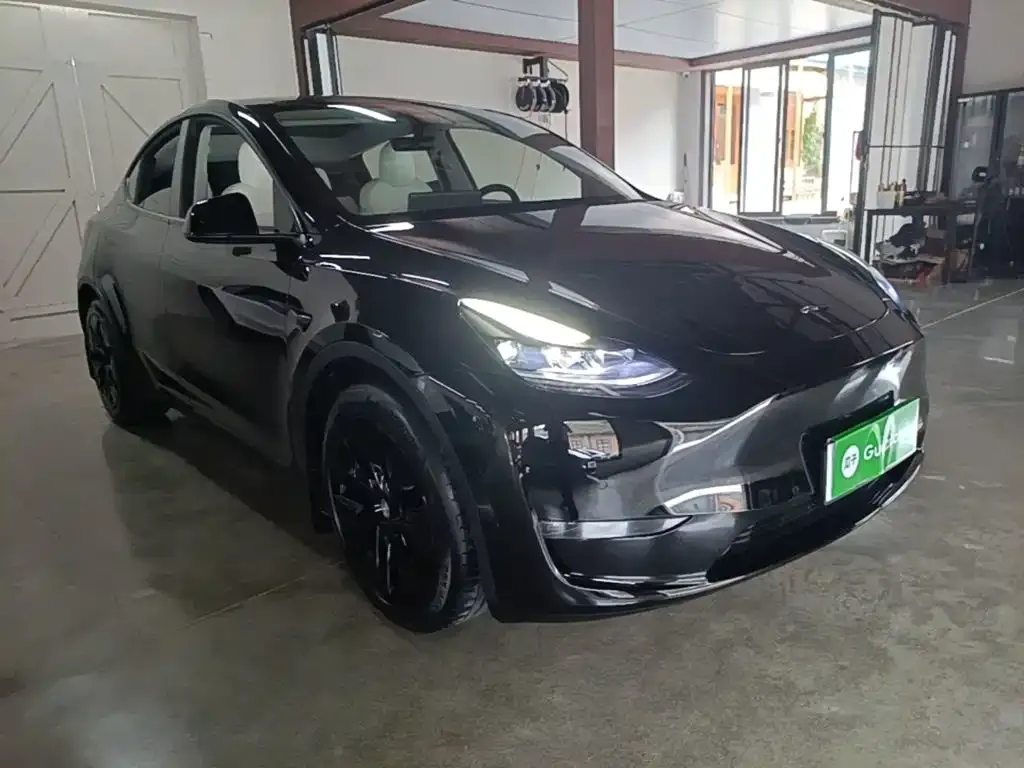 Tesla Model Y — фото 2