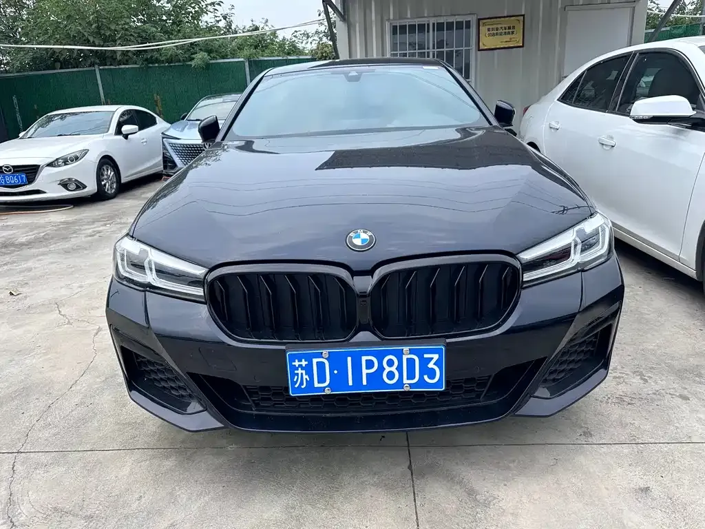 BMW 5 Series (Import) 2021 из CN, фото 9