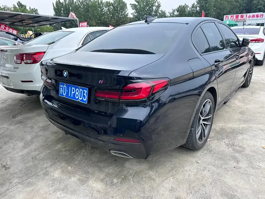 BMW 5 Series (Import) 2021 из CN, фото 8