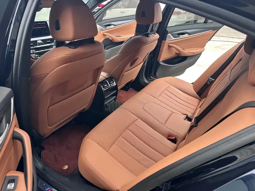 BMW 5 Series (Import) 2021 из CN, фото 3