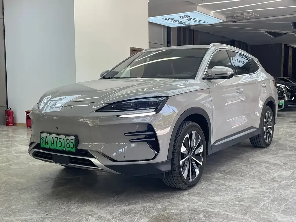 BYD PLUS New Energy — фото 1
