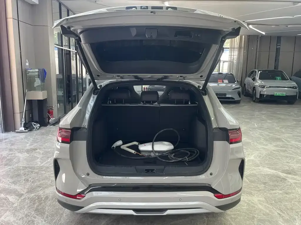 BYD PLUS New Energy — фото 10