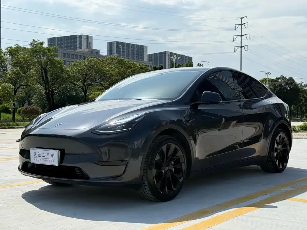 Tesla Model Y — фото 1