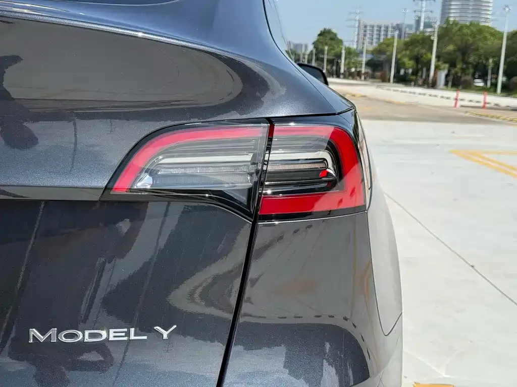 Tesla Model Y — фото 8