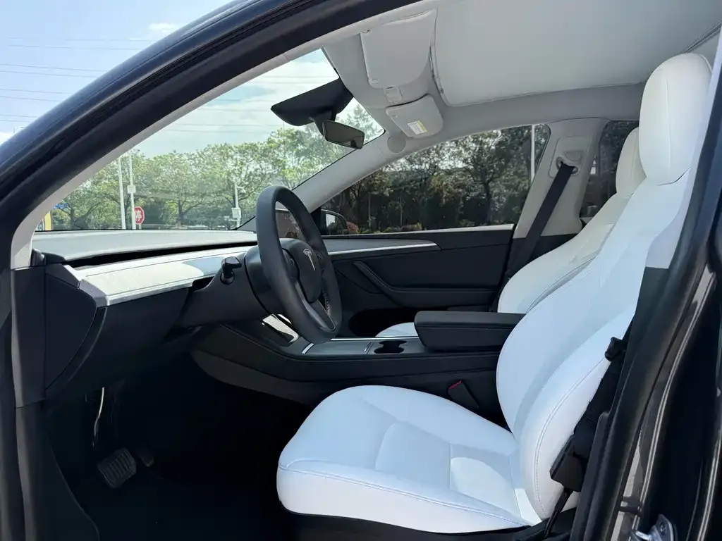 Tesla Model Y — фото 10