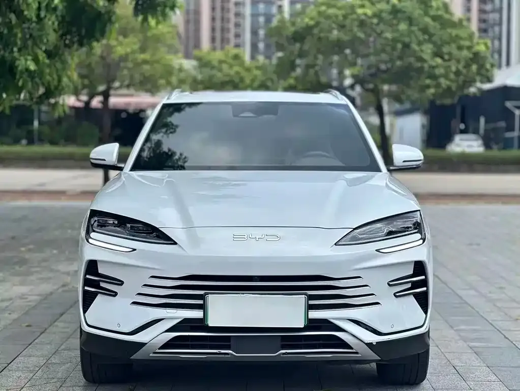 BYD PLUS New Energy — фото 2
