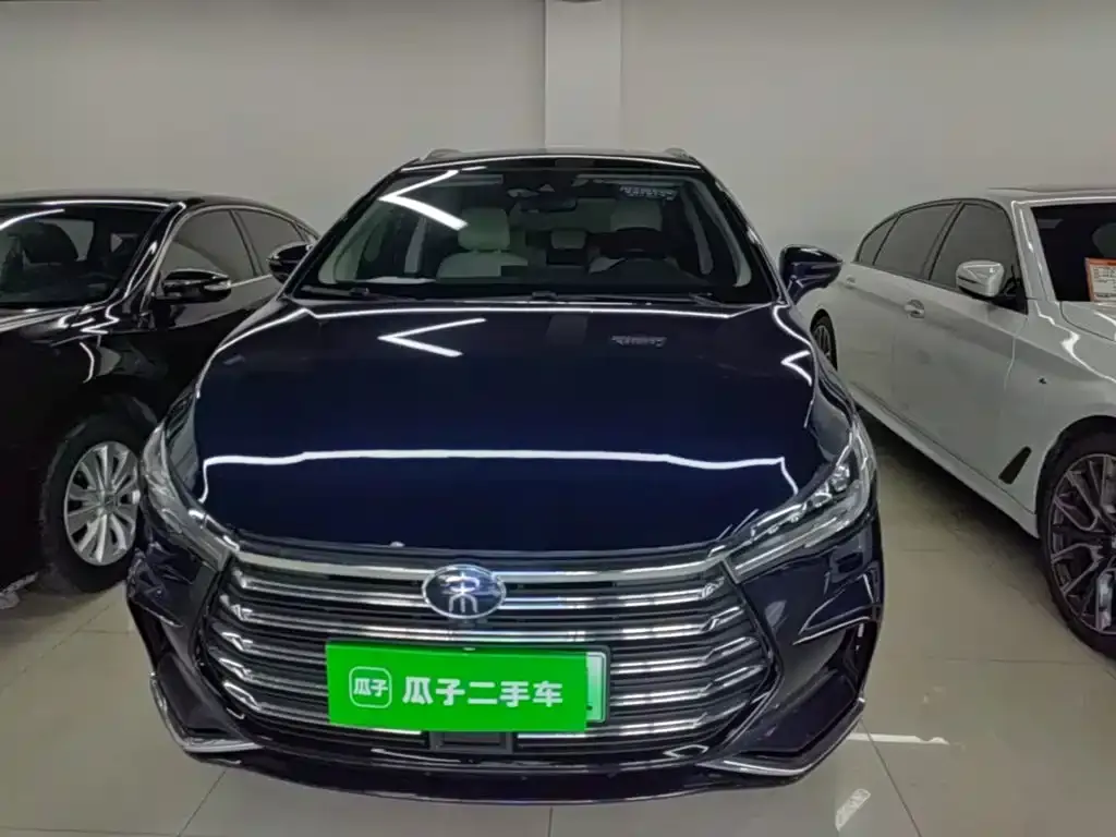 BYD MAX New Energy 2023 из CN, фото 6