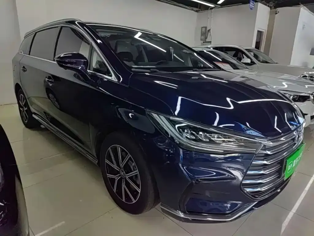 BYD MAX New Energy 2023 из CN, фото 7