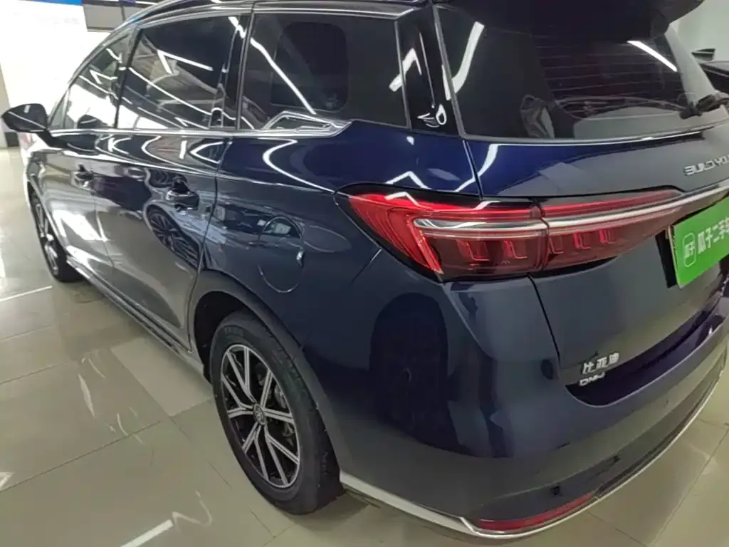 BYD MAX New Energy 2023 из CN, фото 10
