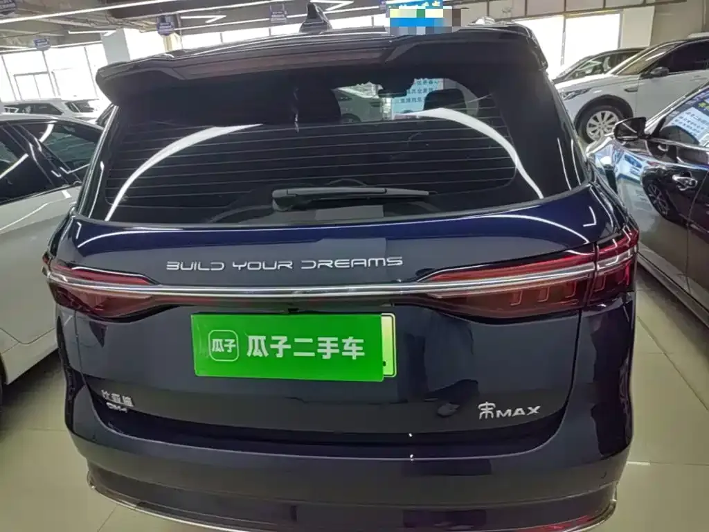 BYD MAX New Energy 2023 из CN, фото 4