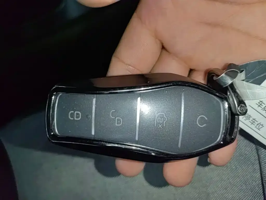 BYD MAX New Energy 2023 из CN, фото 2