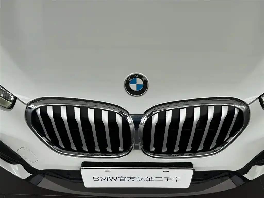 BMW X1 — фото 4
