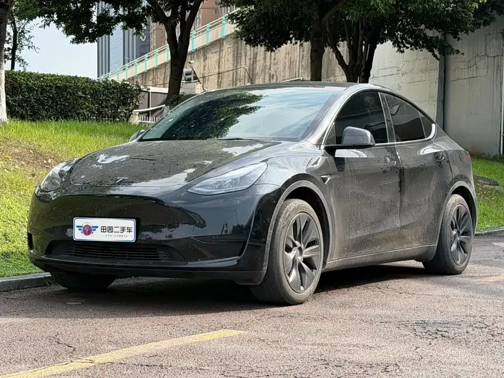 Tesla Model Y — фото 1