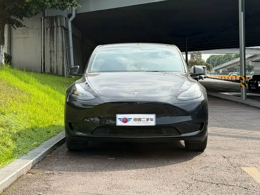 Tesla Model Y — фото 8