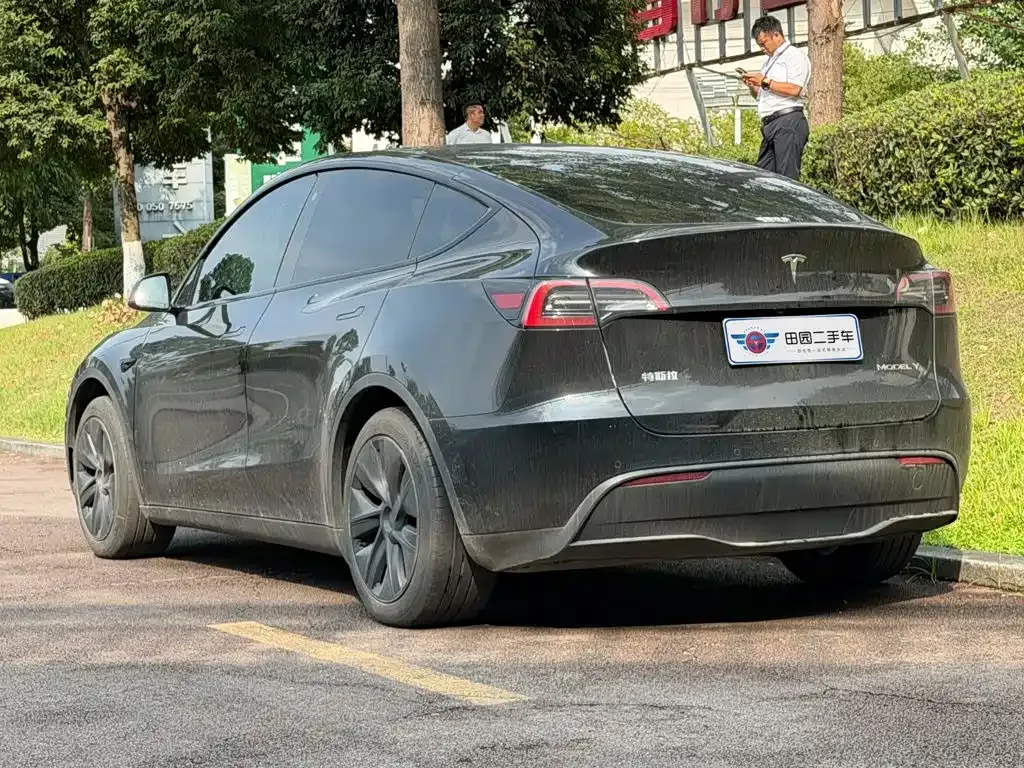 Tesla Model Y — фото 10