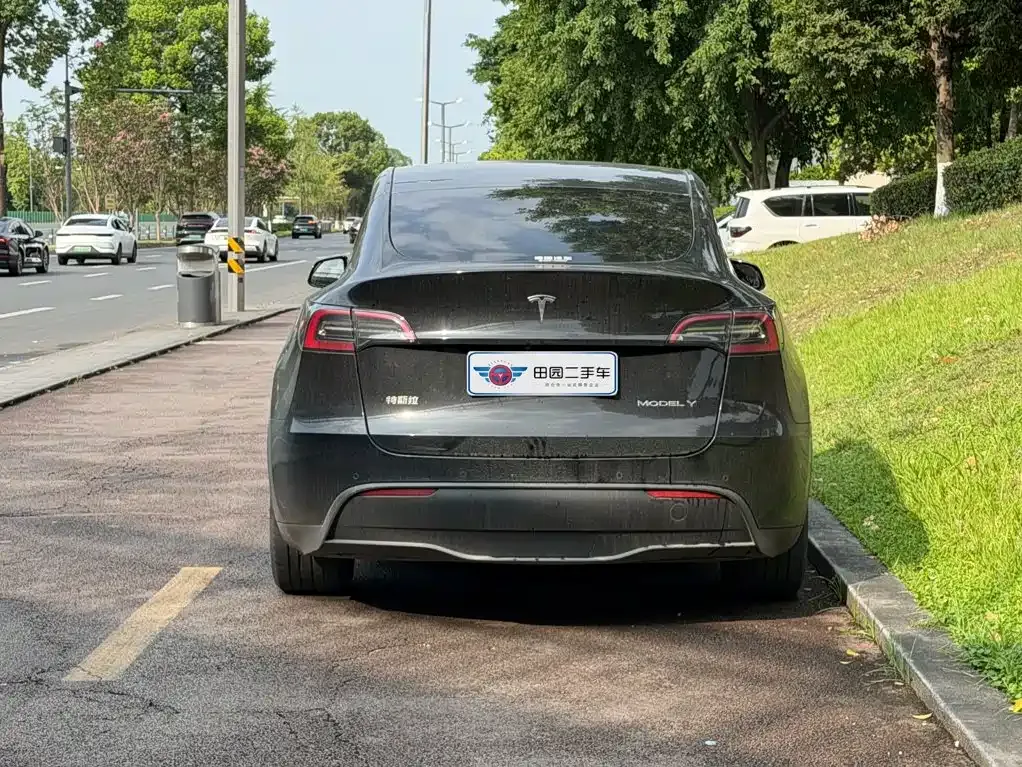 Tesla Model Y — фото 7
