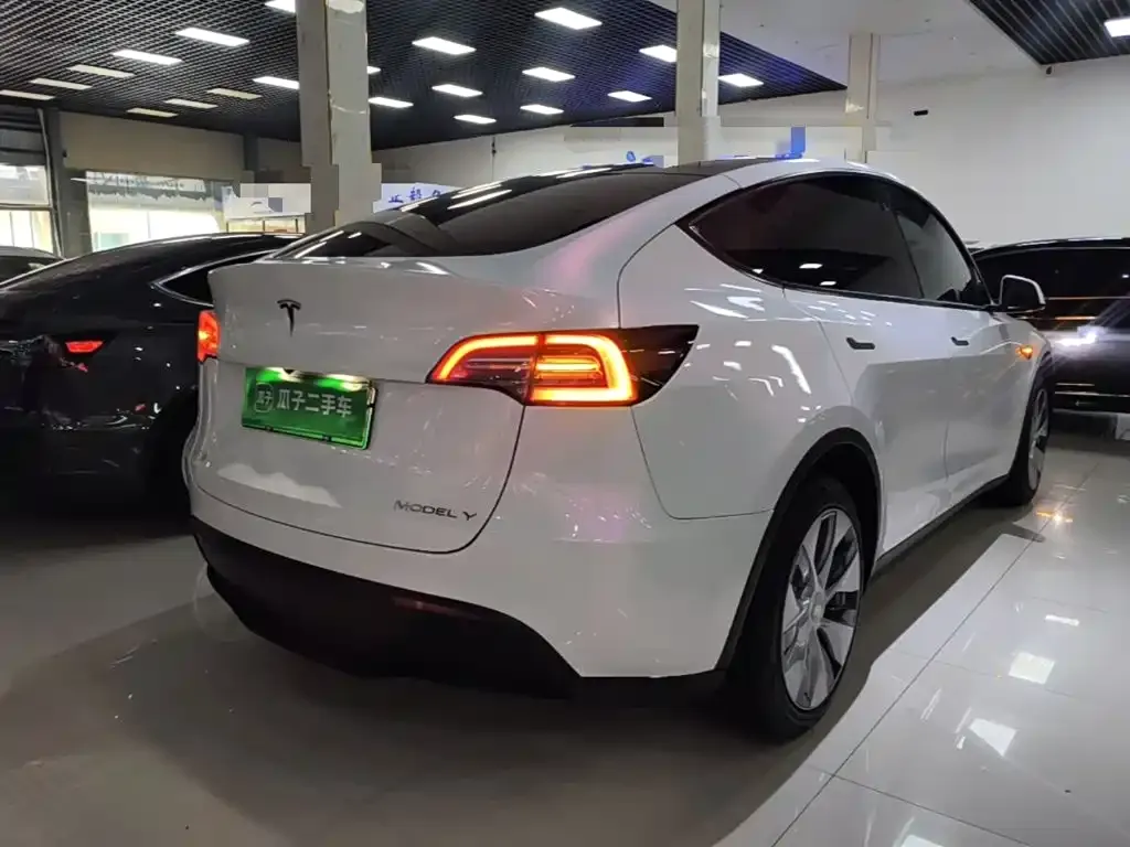 Tesla Model Y — фото 10