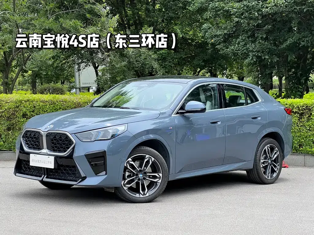BMW X2 (Import) — фото 1