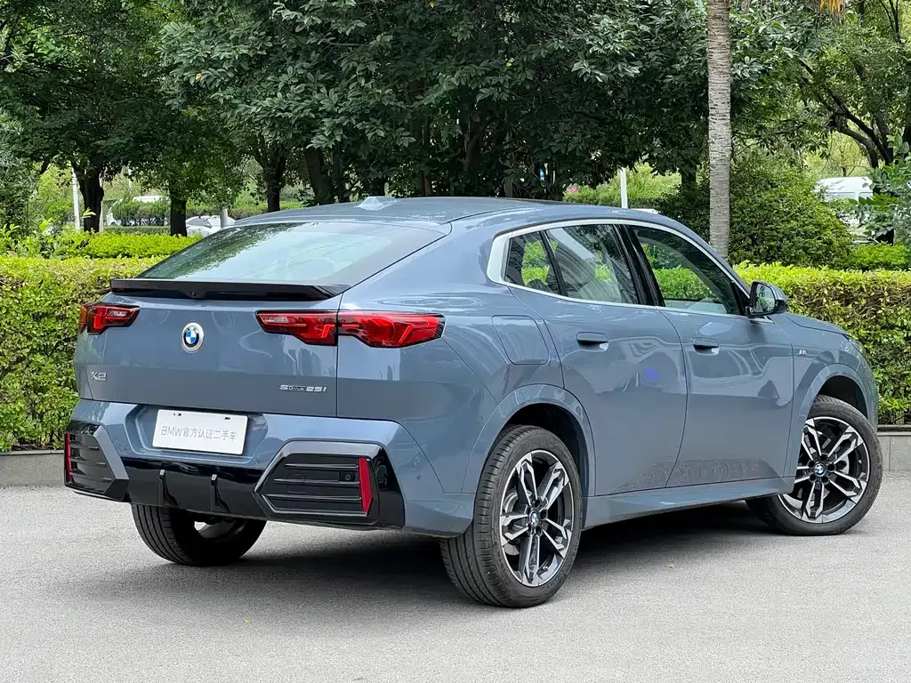 BMW X2 (Import) — фото 8