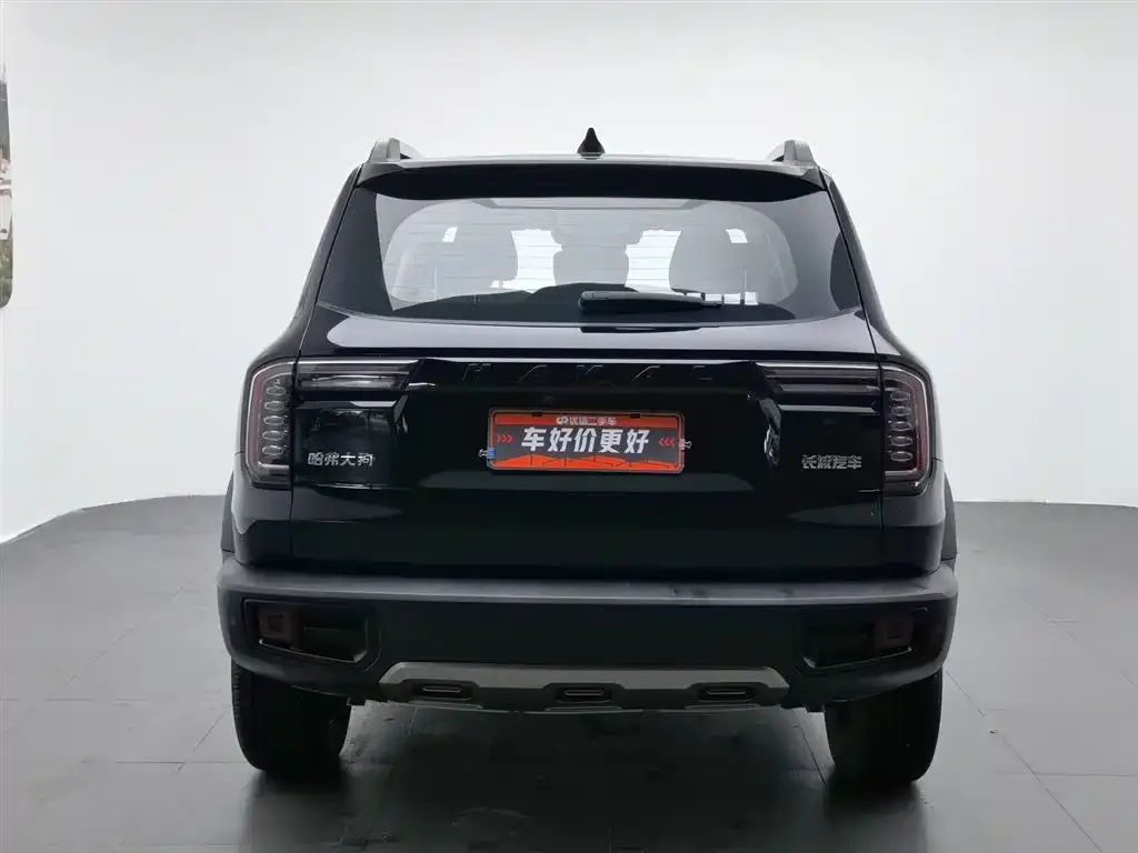 Haval Big Dog 2023 из CN, фото 3