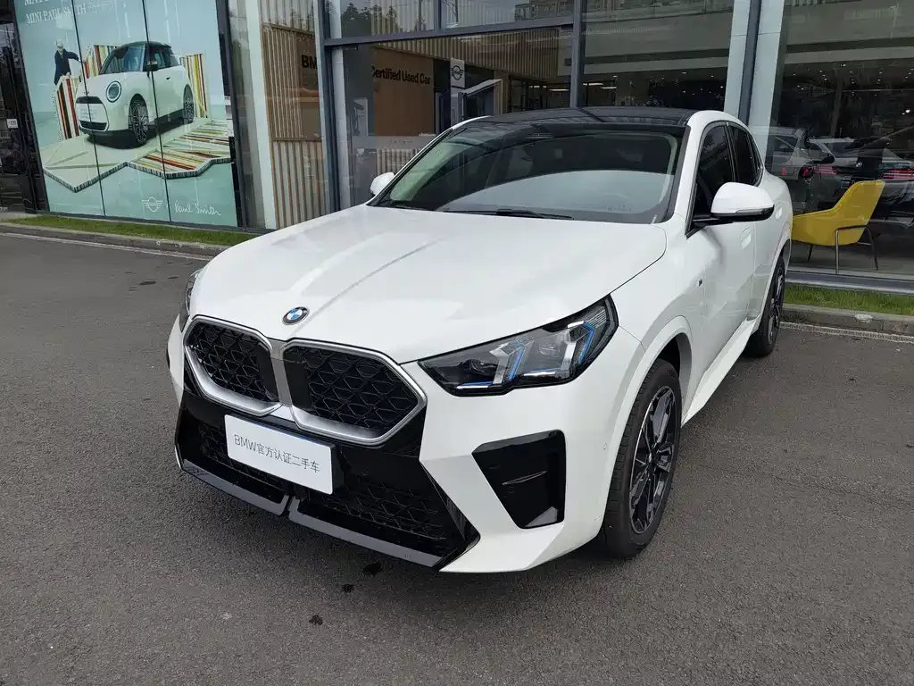 BMW X2 (Import) — фото 1