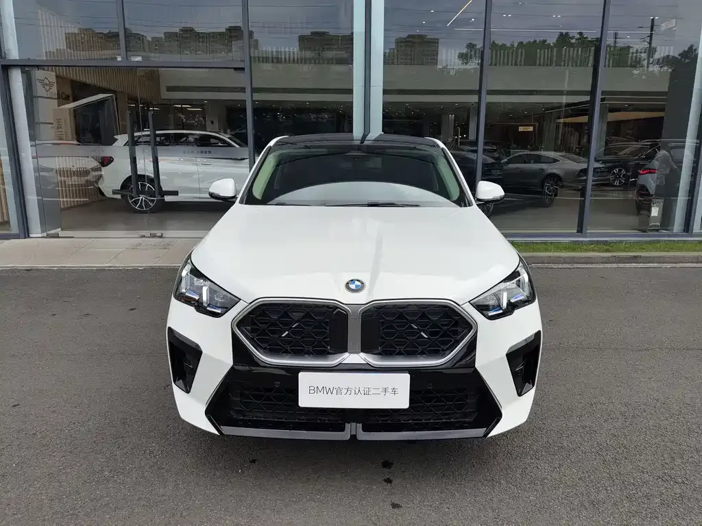 BMW X2 (Import) — фото 6