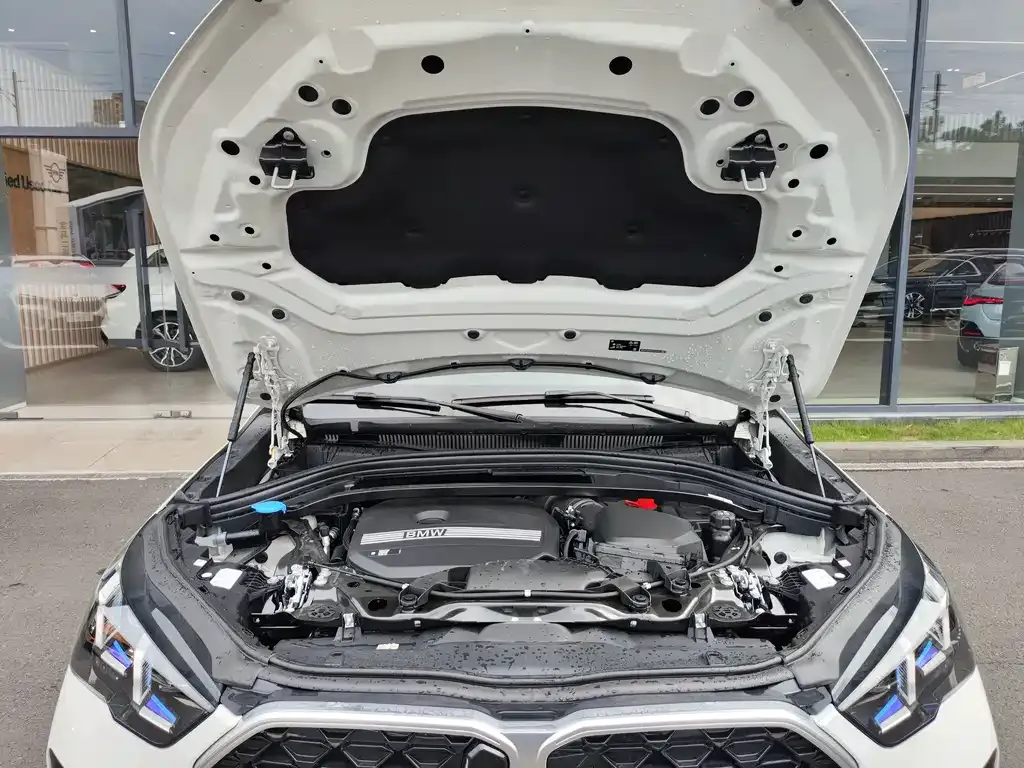 BMW X2 (Import) — фото 10
