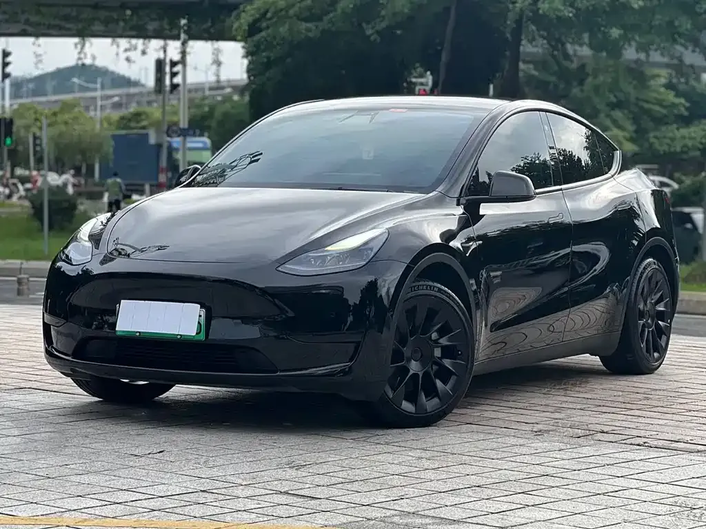 Tesla Model Y — фото 1