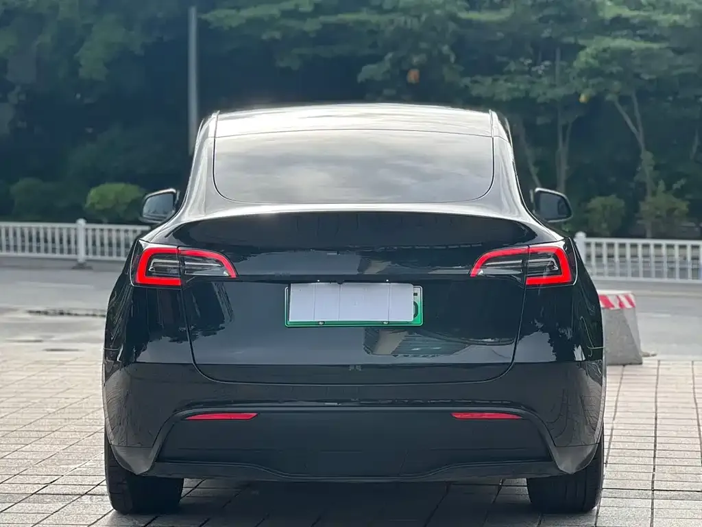 Tesla Model Y — фото 2