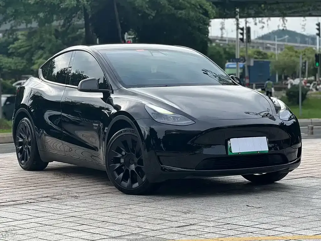 Tesla Model Y — фото 10