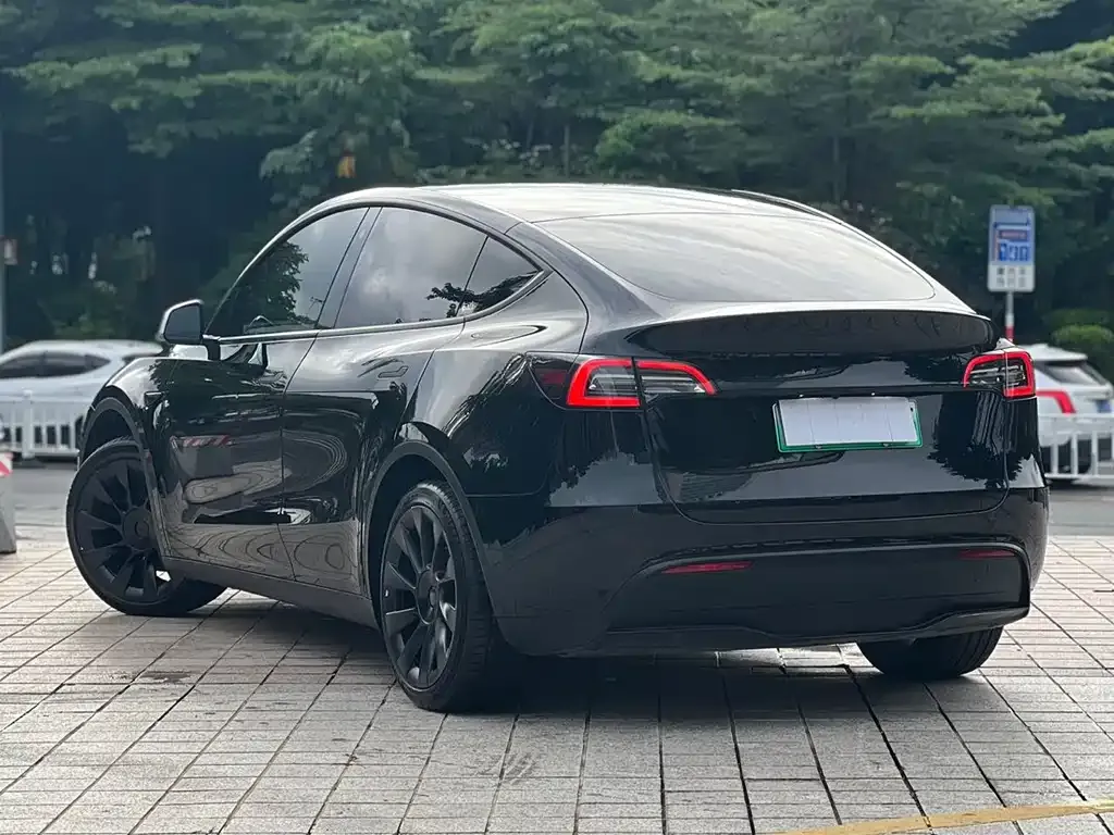 Tesla Model Y — фото 8