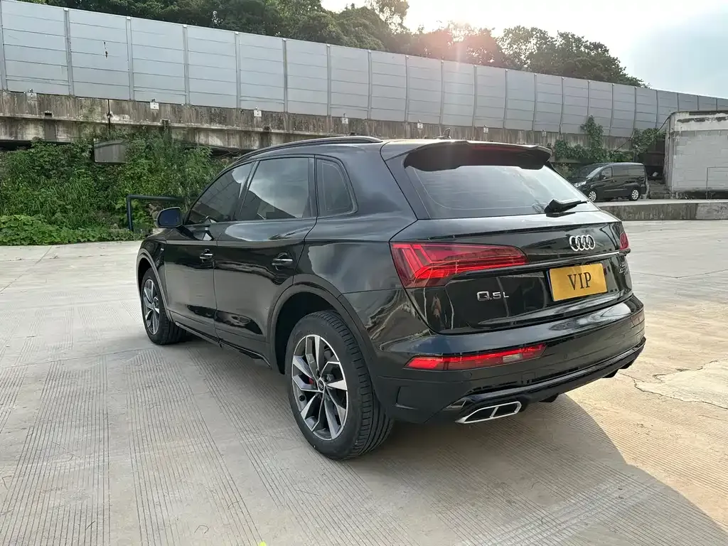 Audi Q5L 2024 из CN, фото 5