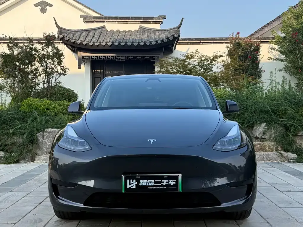Tesla Model Y — фото 9