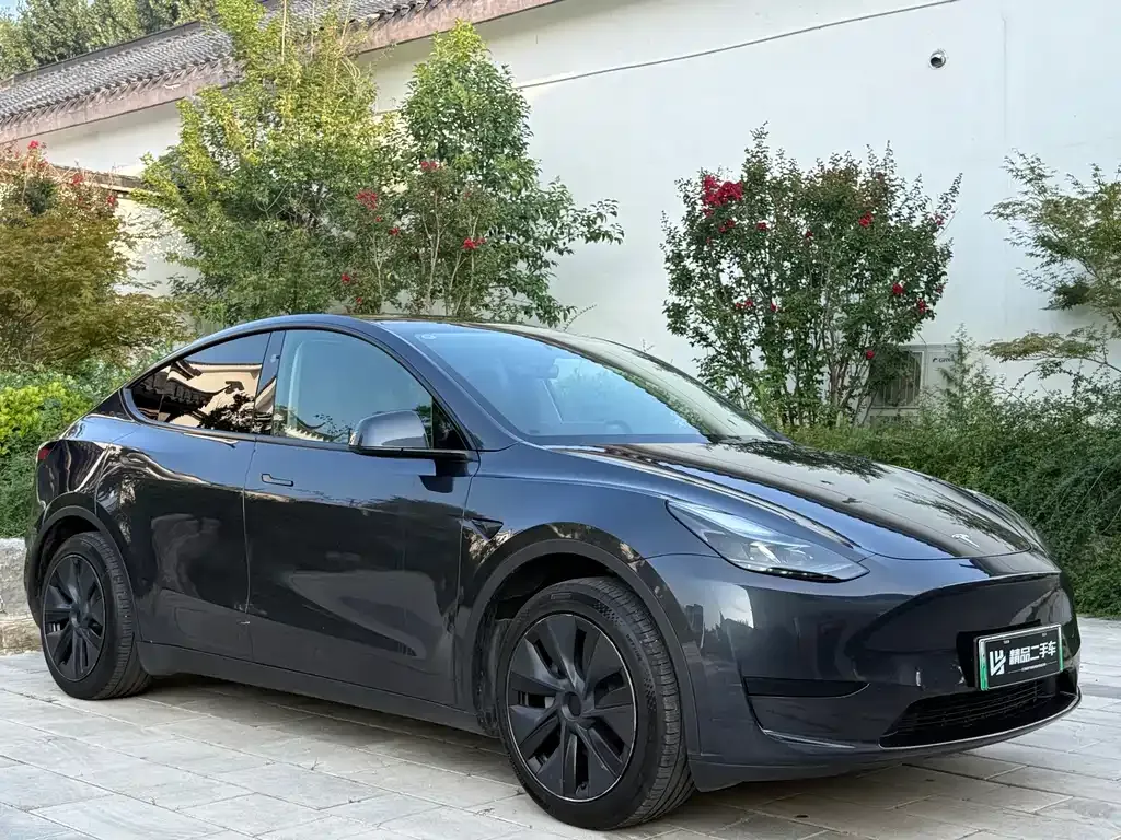 Tesla Model Y — фото 10