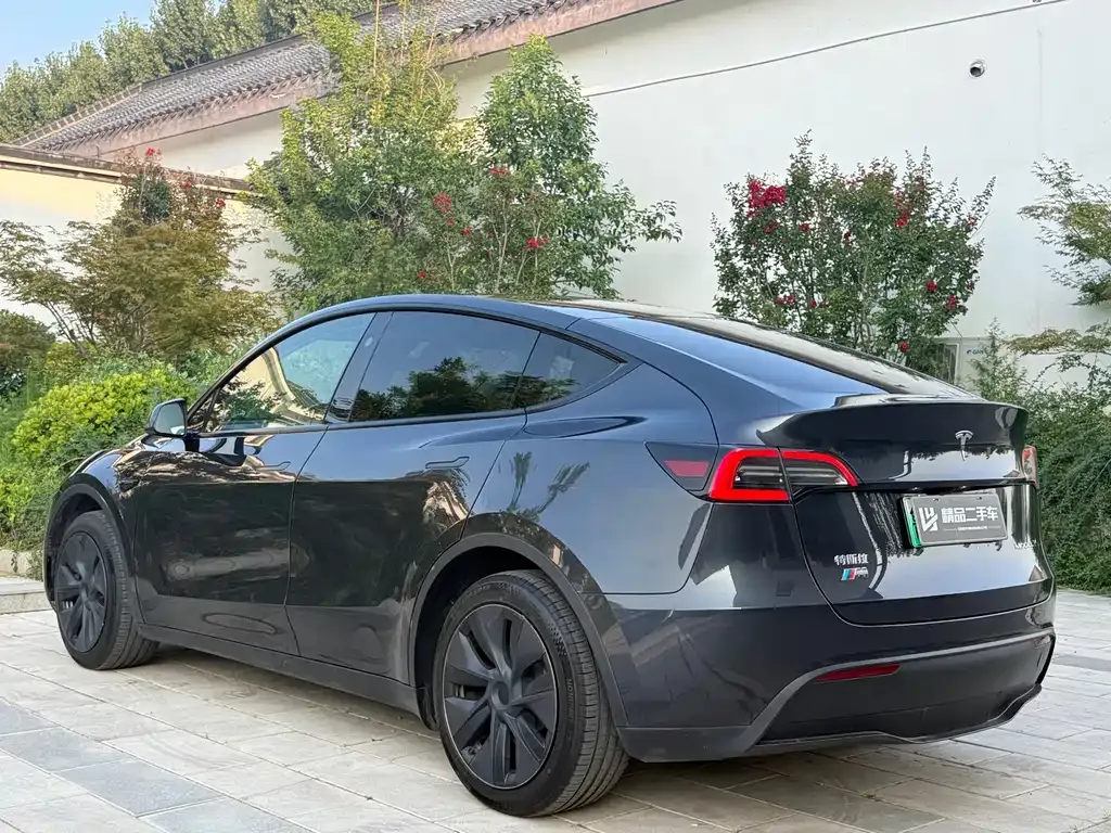Tesla Model Y — фото 8