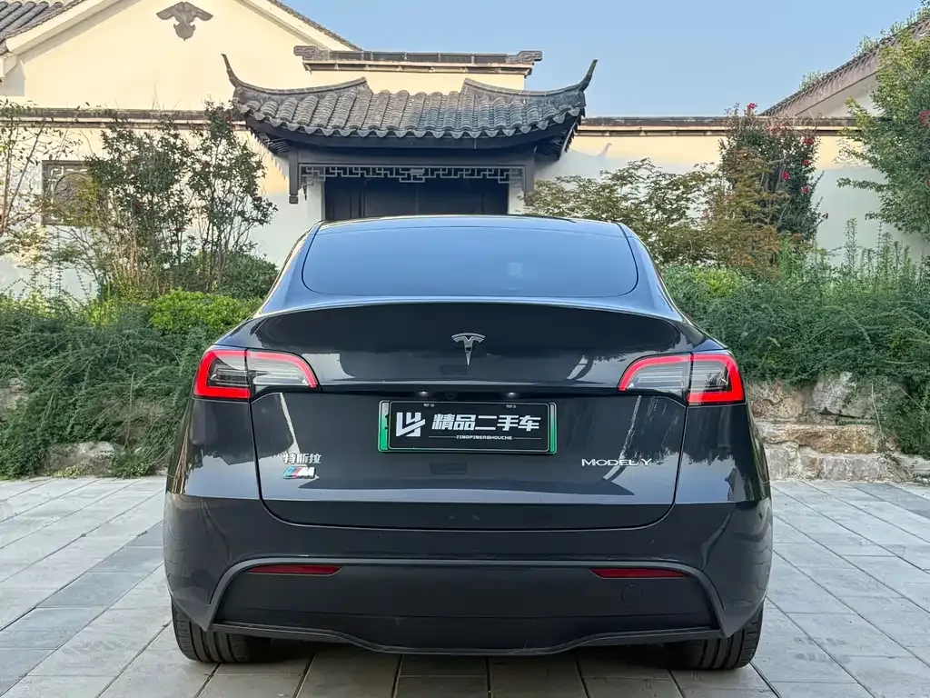 Tesla Model Y — фото 5
