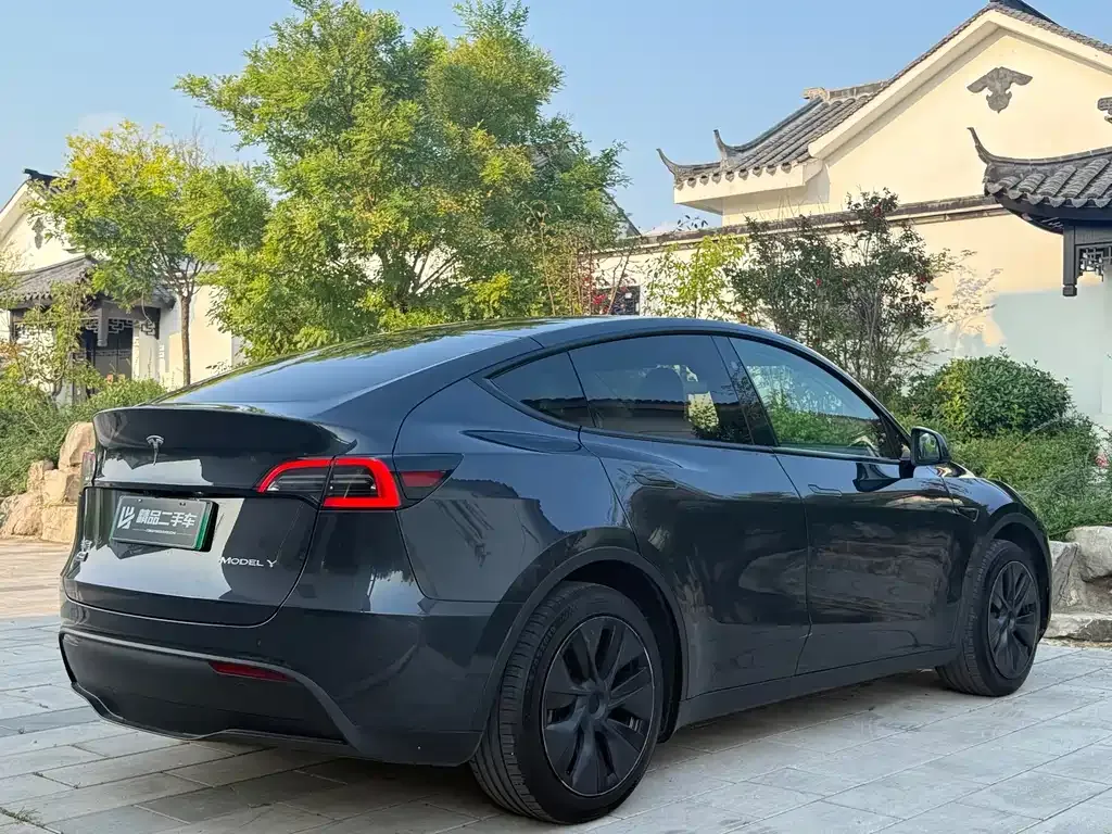 Tesla Model Y — фото 6