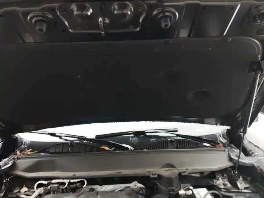 Haval Raptor — фото 3
