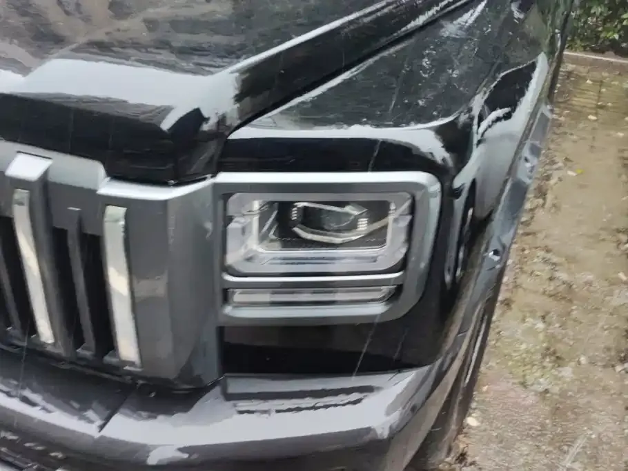 Haval Raptor — фото 2