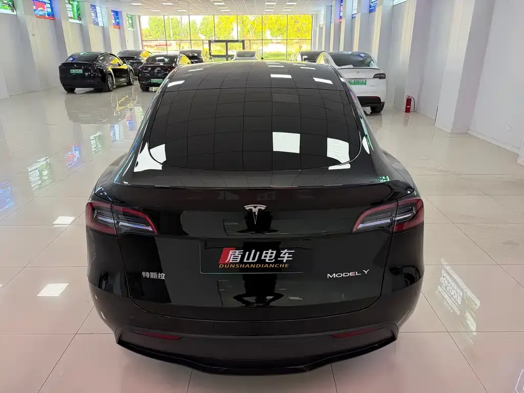 Tesla Model Y — фото 2