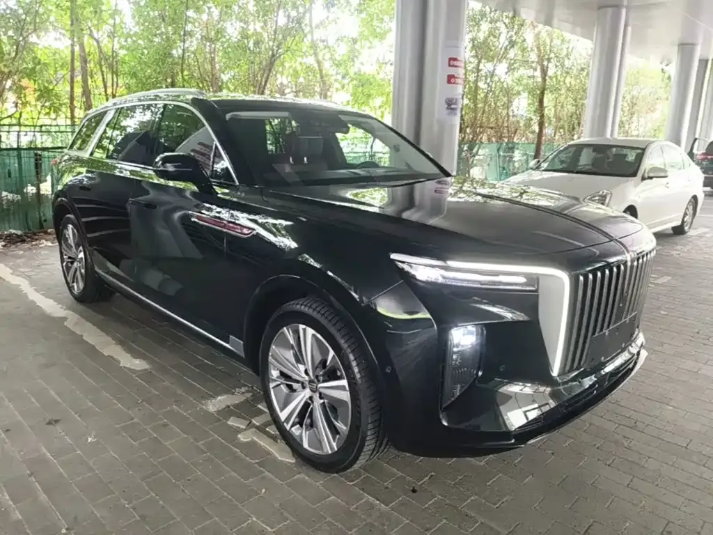 Hongqi E-HS9 — фото 3