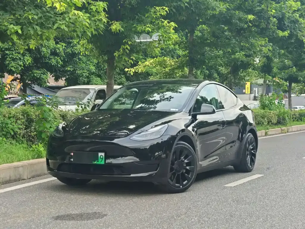 Tesla Model Y — фото 1