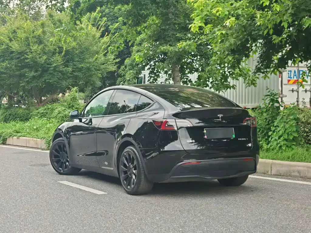Tesla Model Y — фото 9