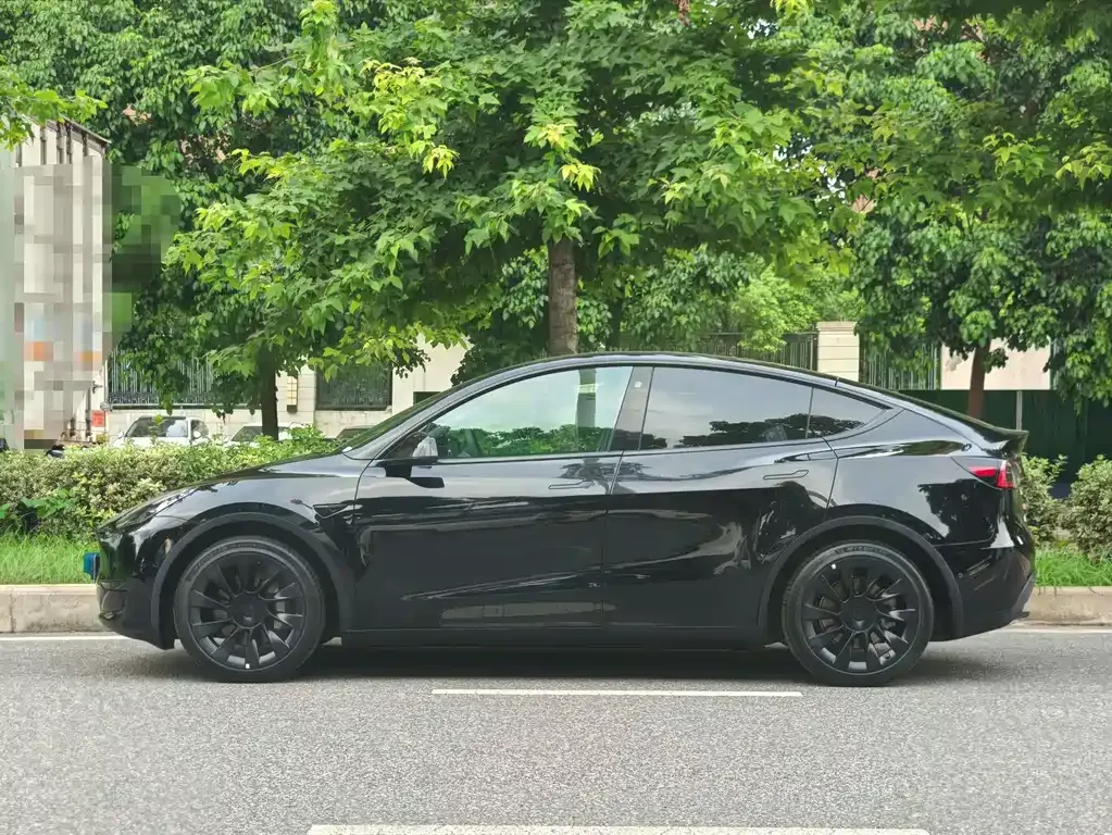 Tesla Model Y — фото 8