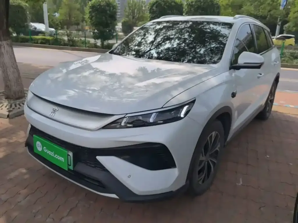 BYD Pro New Energy — фото 7