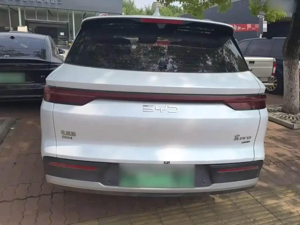 BYD Pro New Energy — фото 5