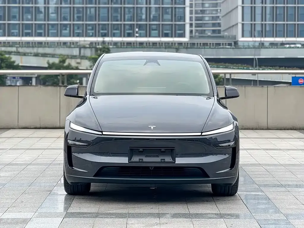 Tesla Model Y — фото 10