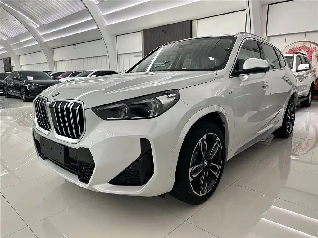 BMW X1 — фото 1