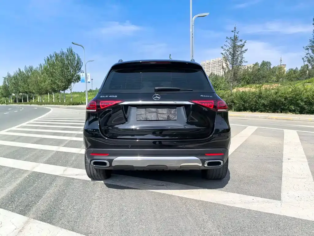 Mercedes-Benz 奔驰GLE(进口) — фото 4